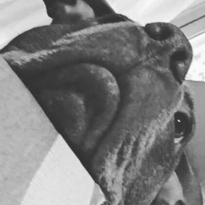 Meet your Posher, Will